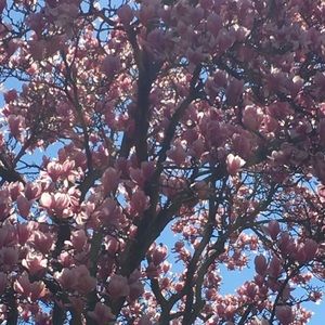 Meet your Posher, Cassidy